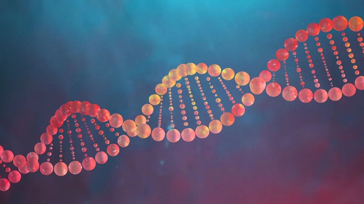 Public support DNA testing before birth certificate motion 